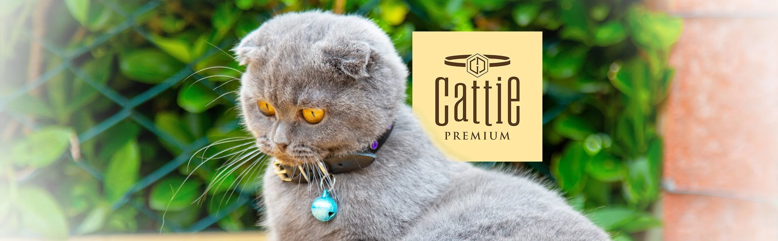 Cattie markası: Premium kedi aksesuarları ve el yapımı tasarımlar