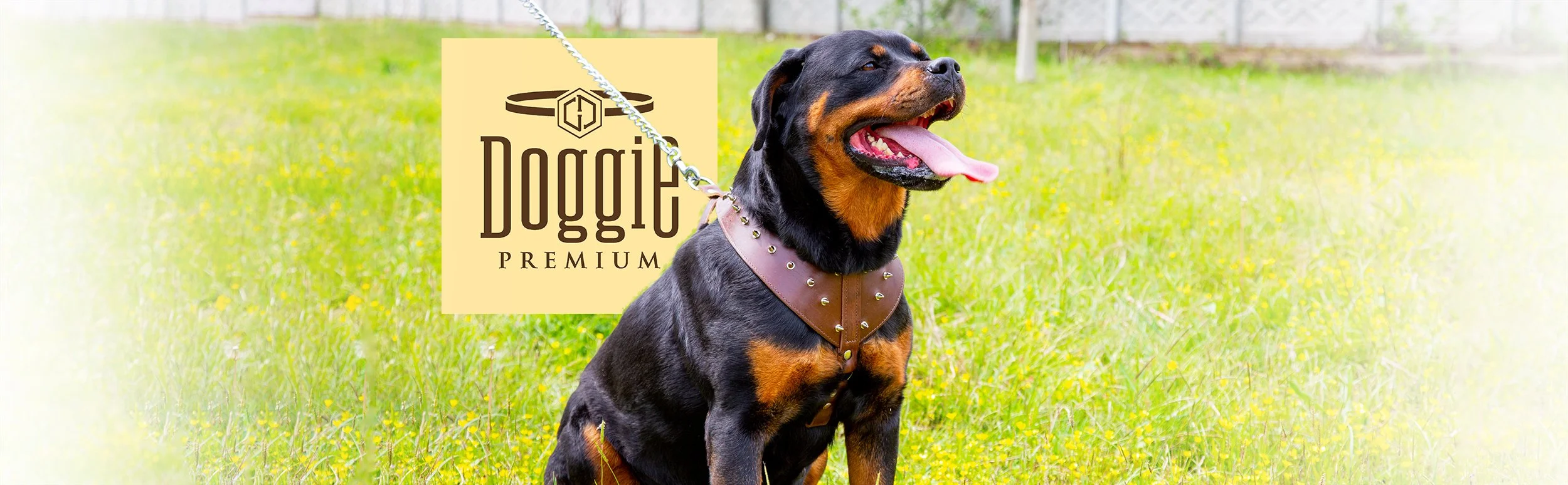 Doggie markası: Premium köpek aksesuarları ve el yapımı tasarımlar