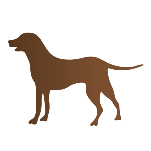 KÖPEK ÜRÜNLERİ