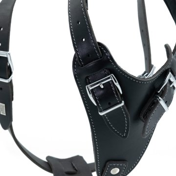 Doggie Gerçek Deriden El Yapımı Dragon Model Köpek Göğüs Tasması M-2,5x65-75cm - Black