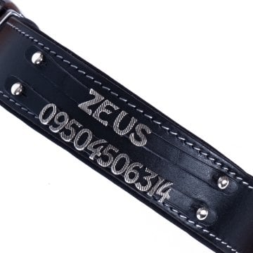 Doggie Konforlu Gerçek Deriden El Yapımı Çift İsimlikli Köpek Boyun Tasması