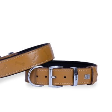Doggie Konforlu Gerçek Deriden El Yapımı Kemik Desenli Köpek Boyun Tasması 3,5x47-55cm - Camel