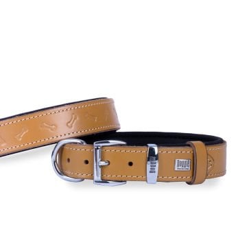 Doggie Konforlu Gerçek Deriden El Yapımı Kemik Desenli Köpek Boyun Tasması 2,5x37-45cm - Camel