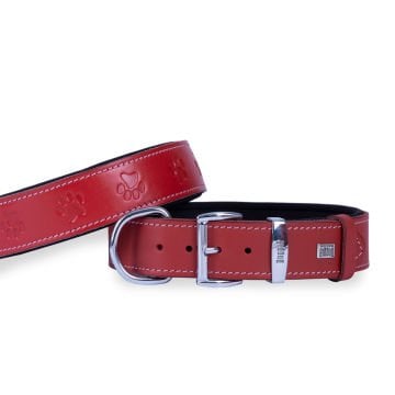Doggie Konforlu Gerçek Deriden El Yapımı Pati Desenli Köpek Boyun Tasması 4x57-65cm - Red