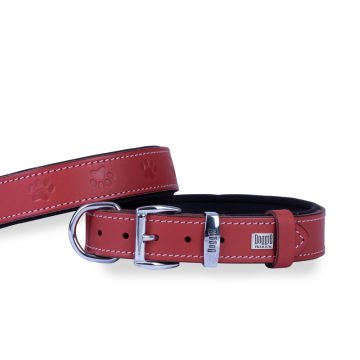 Doggie Konforlu Gerçek Deriden El Yapımı Pati Desenli Köpek Boyun Tasması 2,5x37-45cm - Red