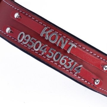 Doggie Konforlu Gerçek Deriden El Yapımı Çift İsimlikli Köpek Boyun Tasması 4x47-55cm - Red