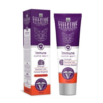 Effective Kedi Maltları