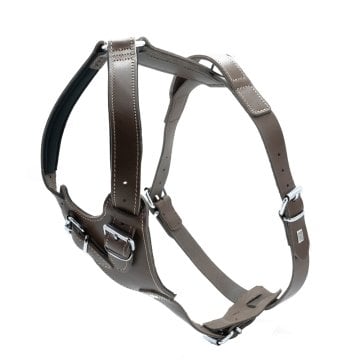 Doggie Gerçek Deriden El Yapımı Dragon Model Köpek Göğüs Tasması