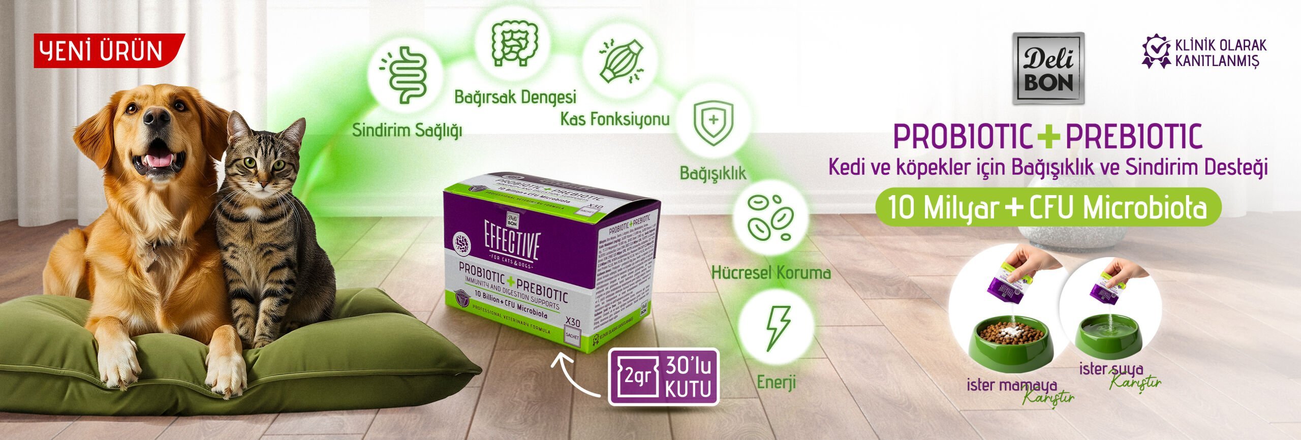 Kedi ve köpekler için probiyotik ve prebiyotik takviye