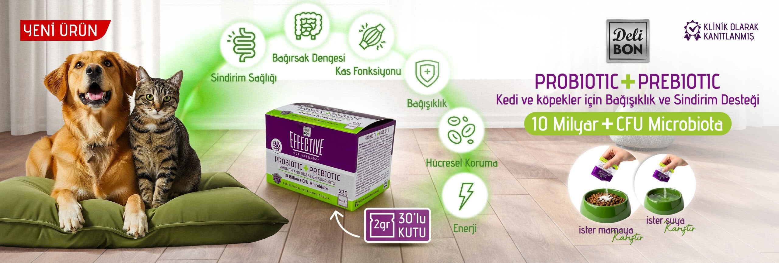 Kedi ve köpekler için probiyotik ve prebiyotik takviye