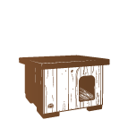 Kedi Dış Mekan Ürünleri