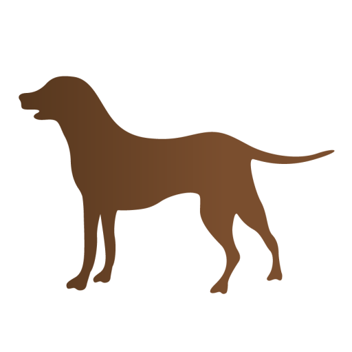 Köpek Ürünleri Icon