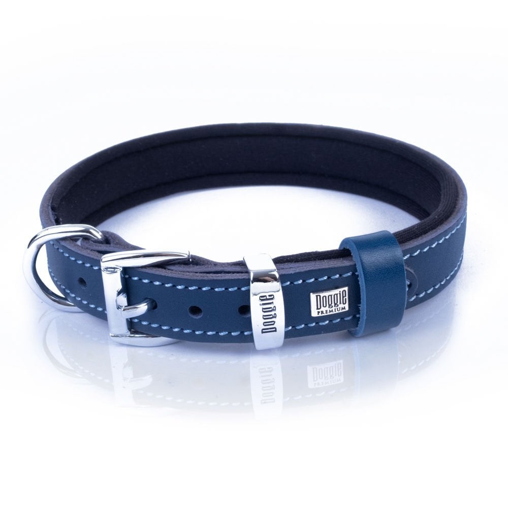 SBT2035SROYALBLUE-picture3Path