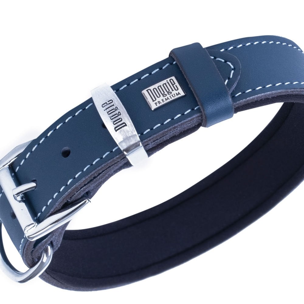 SBT3036MROYALBLUE-picture2Path