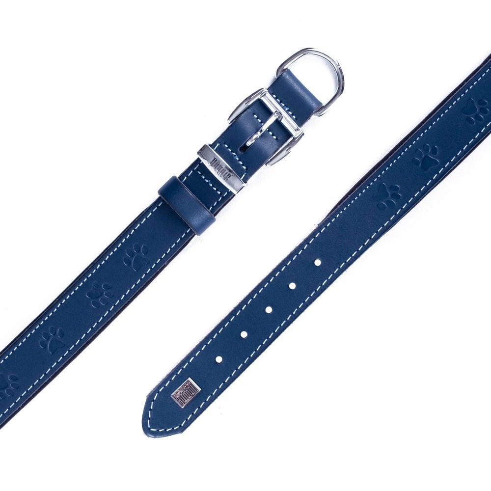 SBT3536LROYALBLUE-picture4Path