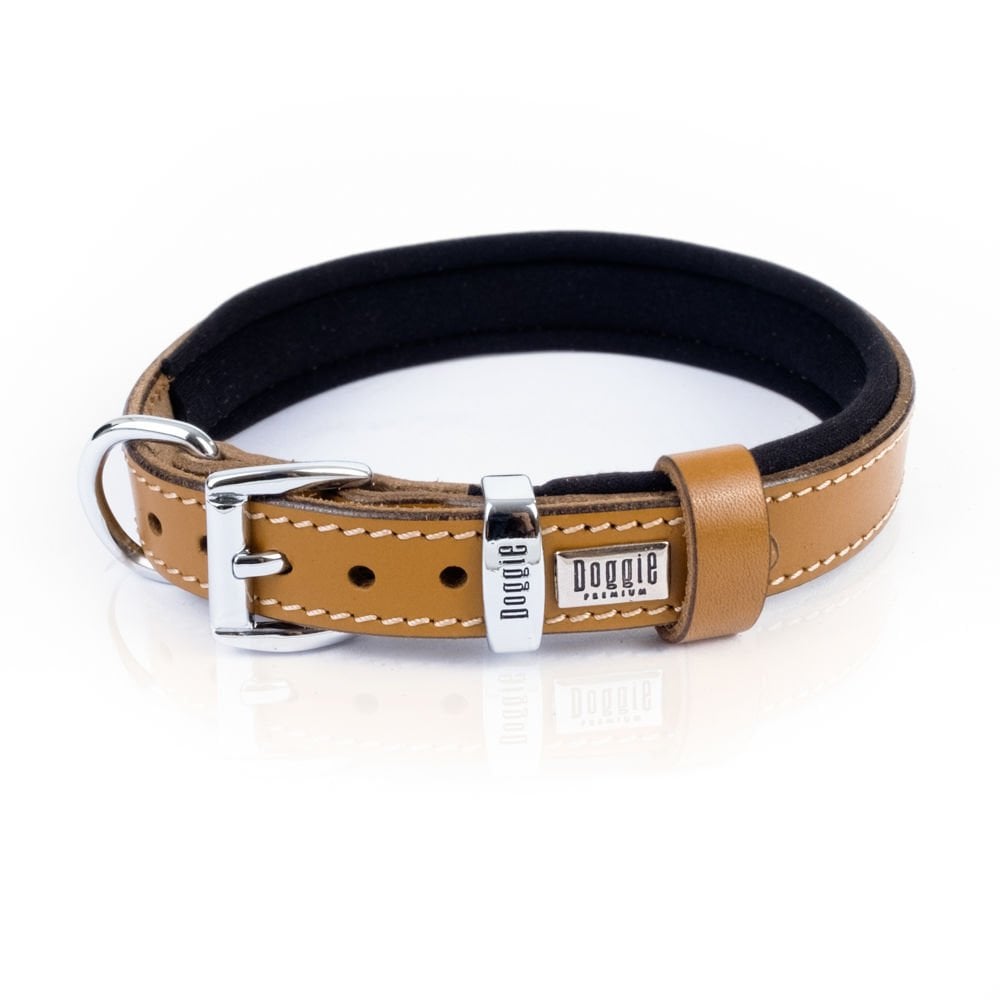 SBT2036SCAMEL-picture3Path