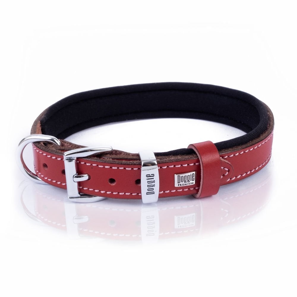 SBT2036MRED-picture3Path
