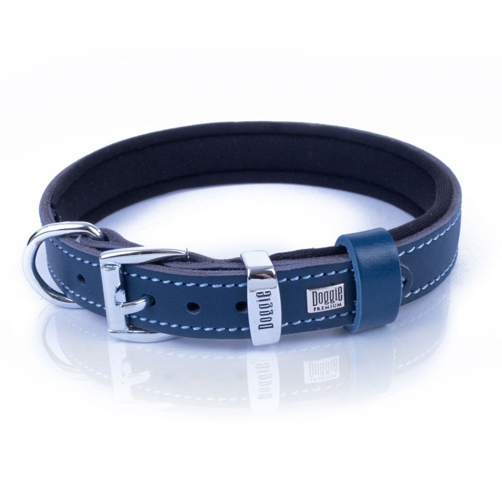 SBT2036MROYALBLUE-picture3Path
