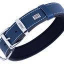 SBT4036SROYALBLUE-picture2Path