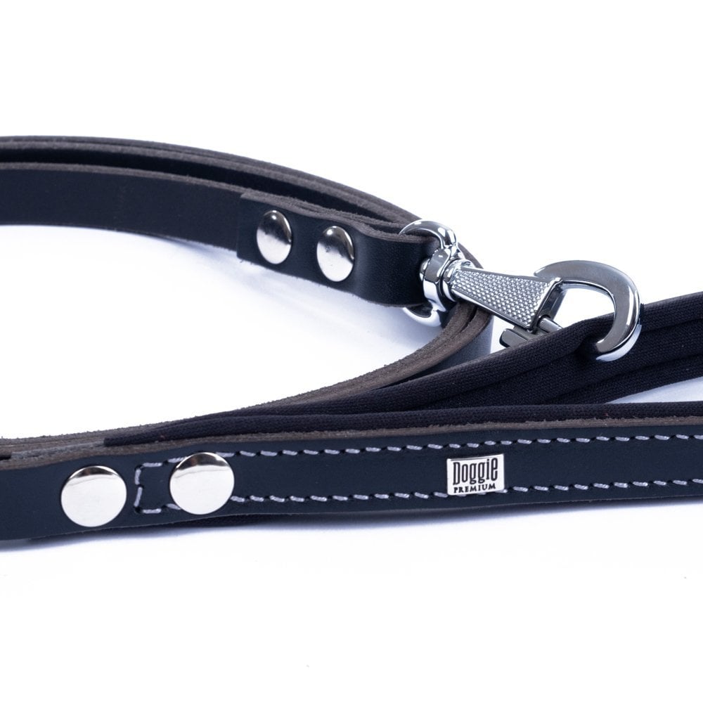 GZT15MBLACK-picture3Path