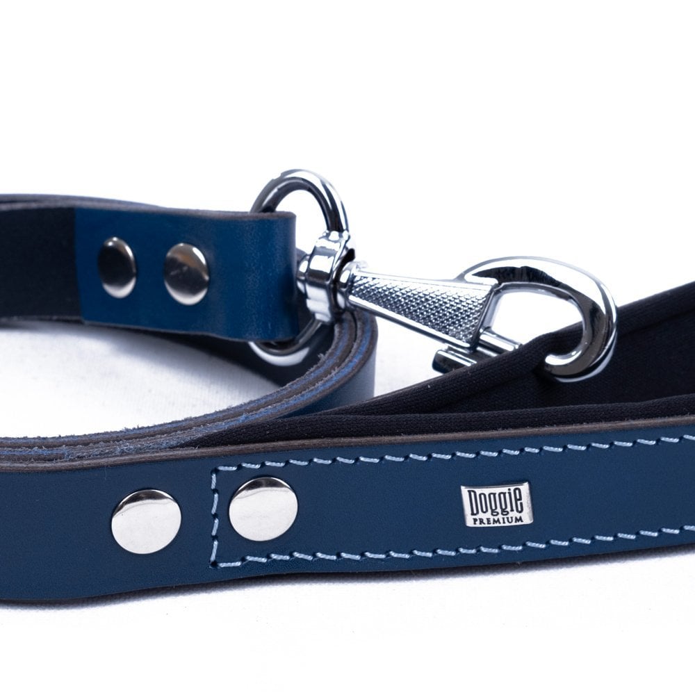 GZT30MROYALBLUE-picture3Path