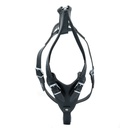 DRGLBLACK-picture2Path