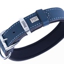 SBT3010MROYALBLUE-picture2Path