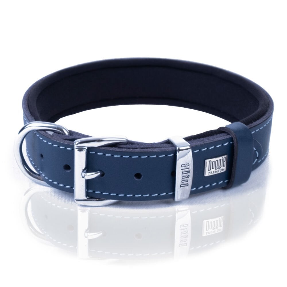 SBT3010MROYALBLUE-picture3Path