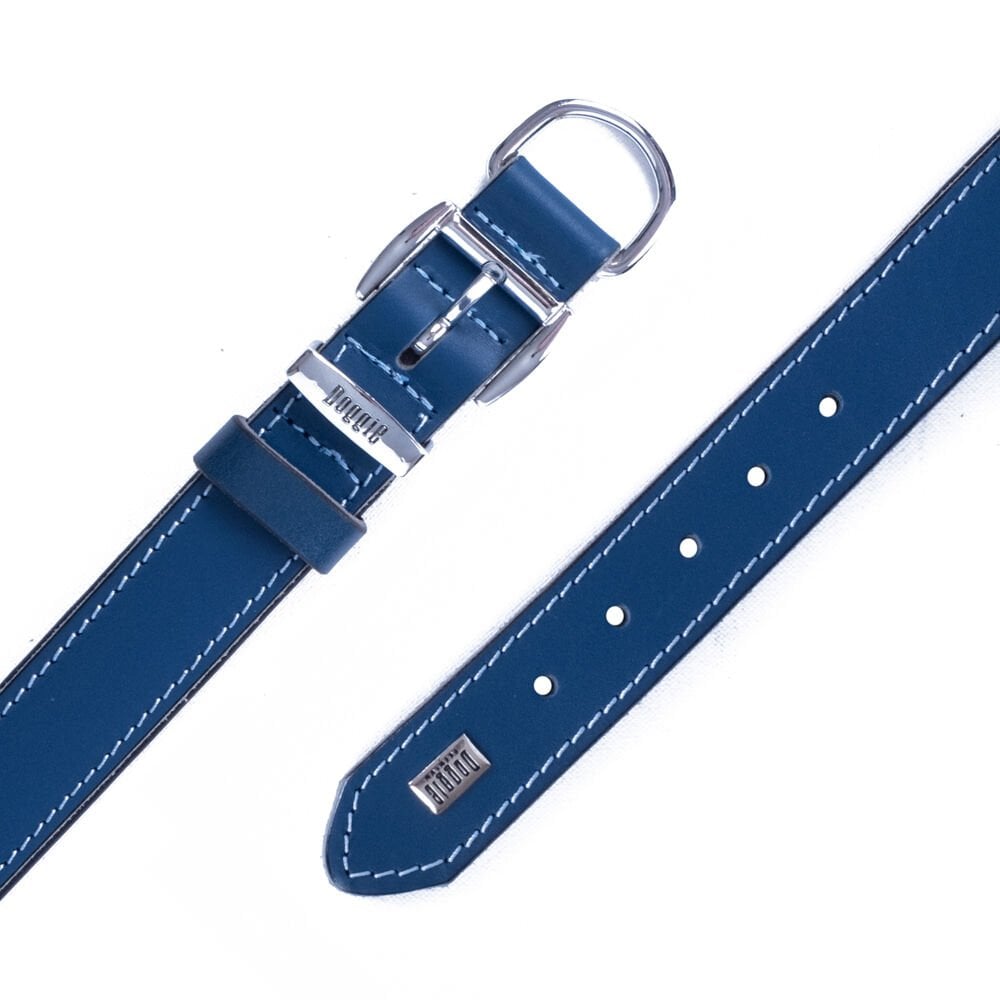 SBT3010MROYALBLUE-picture4Path