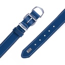 SBT3010MROYALBLUE-picture4Path