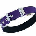 DSBT2510LPURPLE-picture2Path