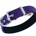 DSBT3010MPURPLE-picture2Path
