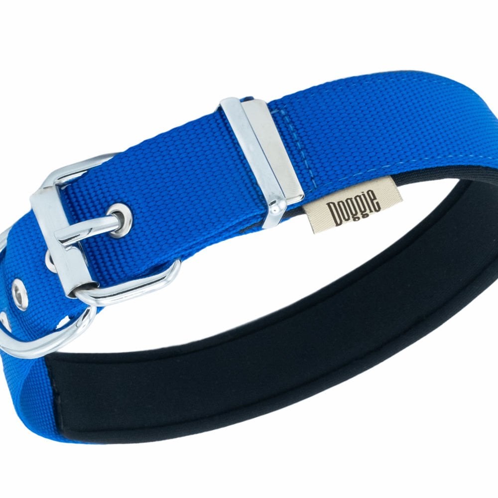 DSBT3010LROYALBLUE-picture2Path