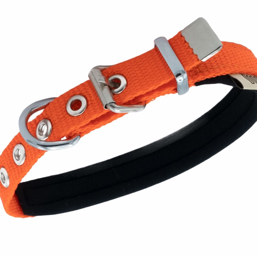 DSBT1510SORANGE-picture2Path