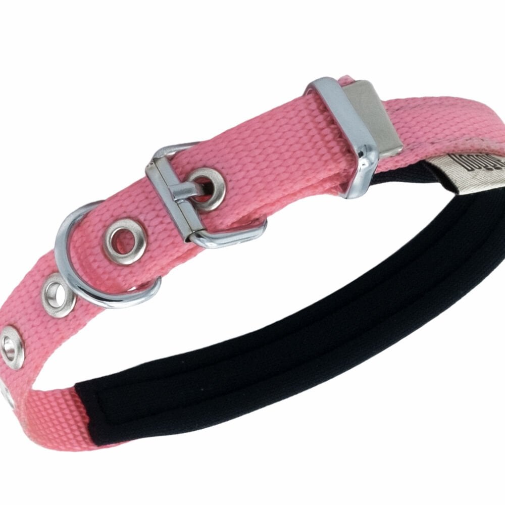 DSBT1510SPINK-picture2Path