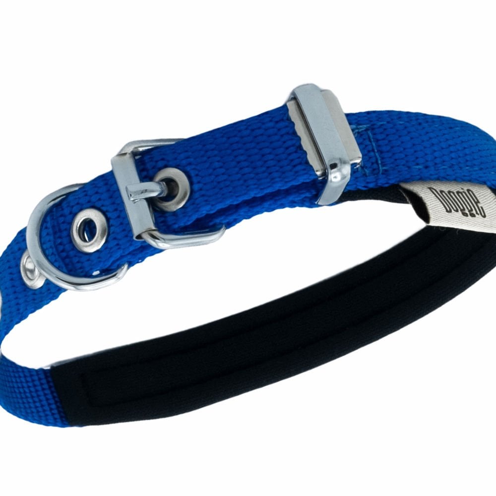 DSBT1510MROYALBLUE-picture2Path