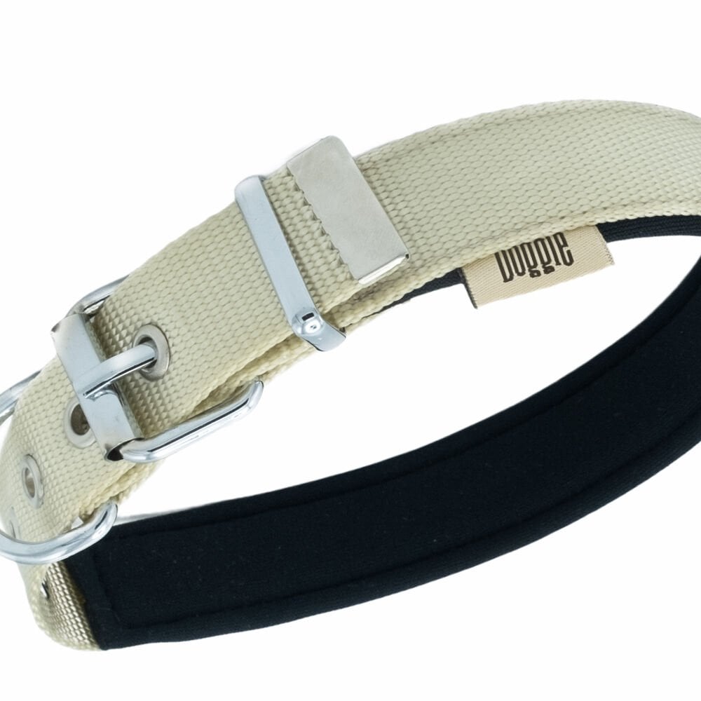 DSBT2510LKHAKI-picture2Path