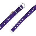 DSBT2562MPURPLE-picture4Path