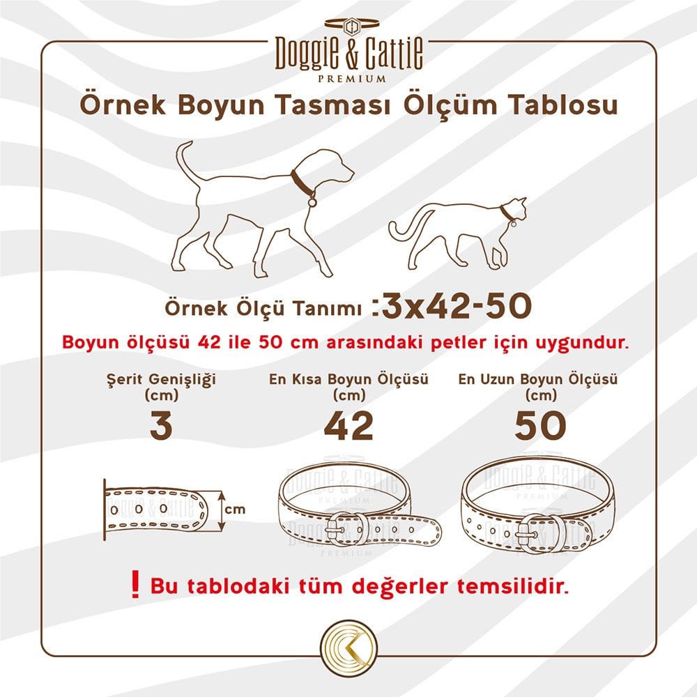 DSBT2562MPURPLE-picture5Path