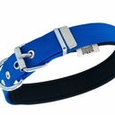 DSBT2562MROYALBLUE-picture2Path
