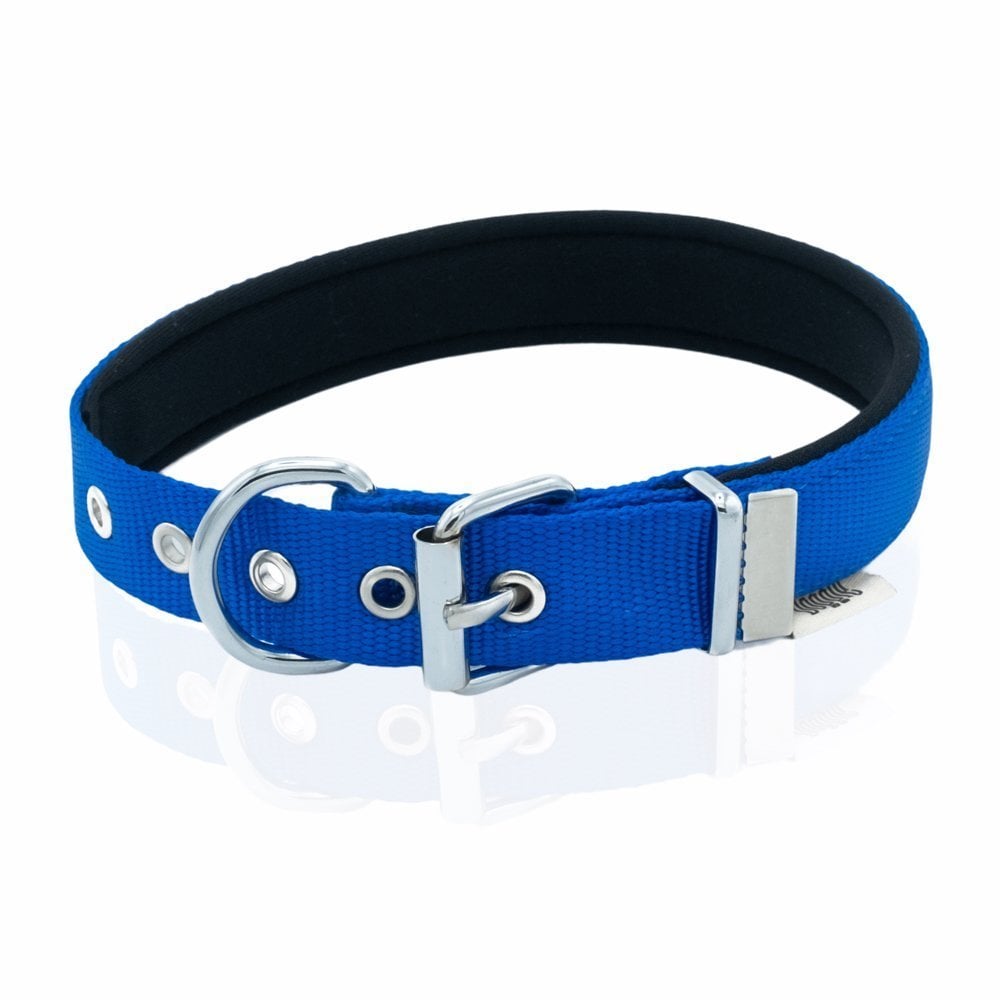 DSBT2562MROYALBLUE-picture3Path