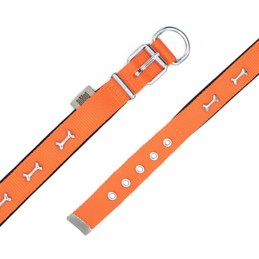 DSBT2562MORANGE-picture4Path