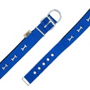 DSBT3062MROYALBLUE-picture4Path