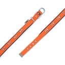 DSBT2062SORANGE-picture4Path
