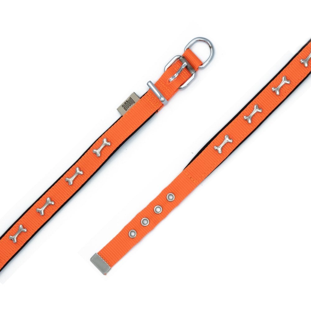 DSBT2062MORANGE-picture4Path