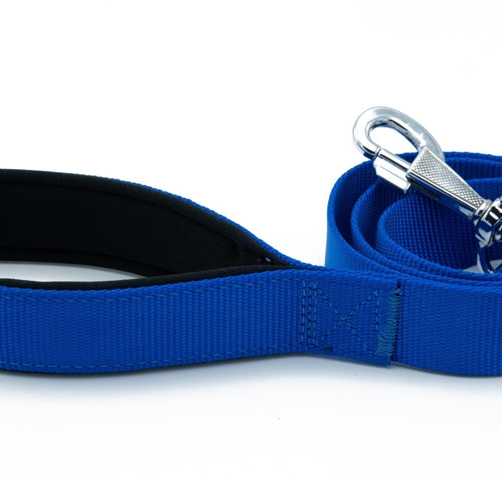 DGZT30MROYALBLUE-picture3Path