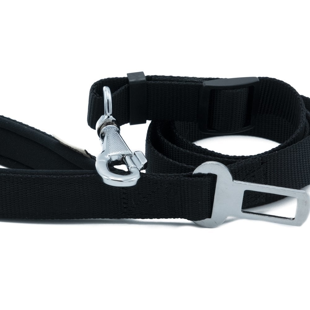 DEKG25MBLACK-picture3Path