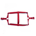 DSGTXLRED-picture2Path