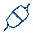 DSGTLROYALBLUE-picture2Path