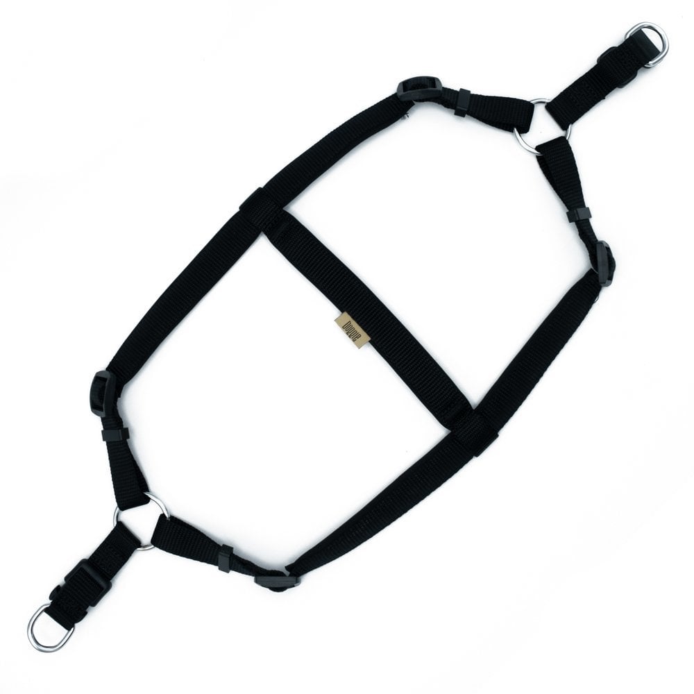 DSGTLBLACK-picture2Path